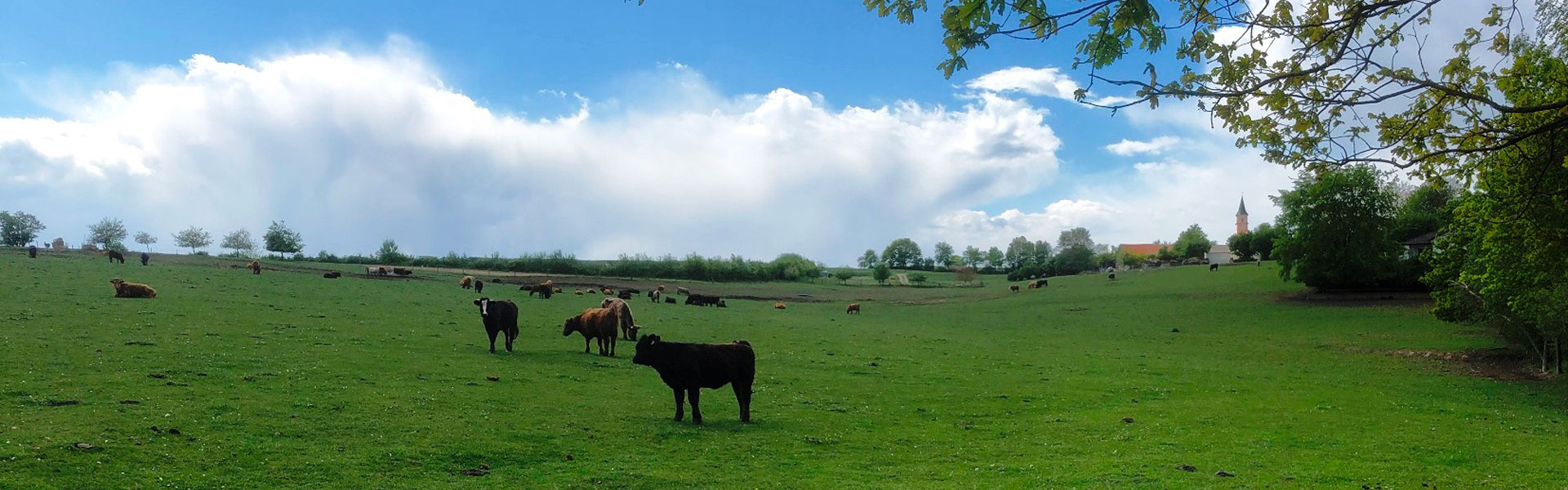 Header Gemeinde Attenkirchen (Pfettrach)