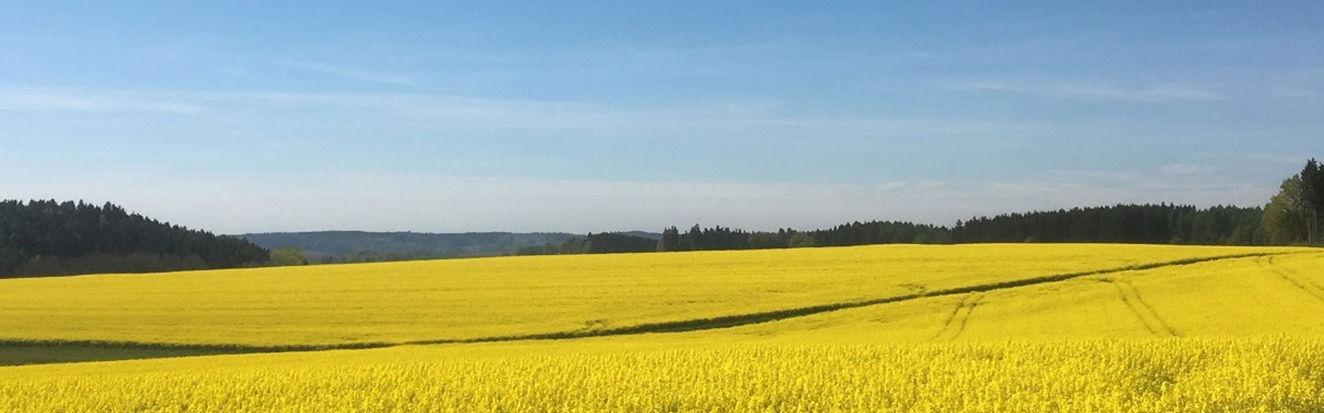 Header Gemeinde Attenkirchen (Rapsfeld)