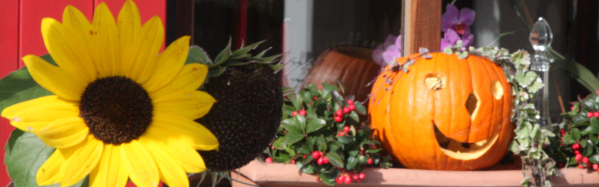 Header Gemeinde Zolling (Fensterbak-Deko)