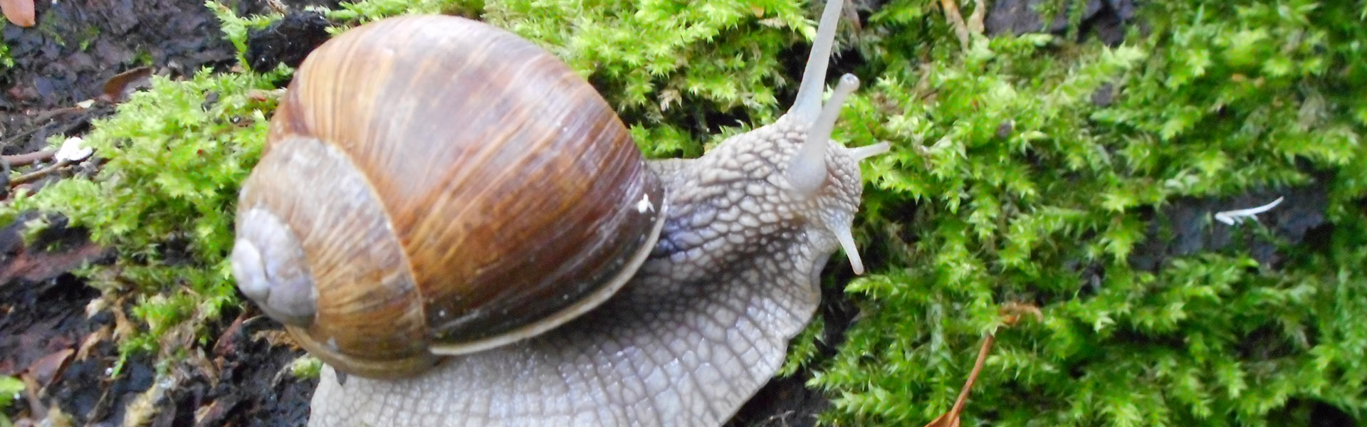 KinderHaus Haag - Header 6