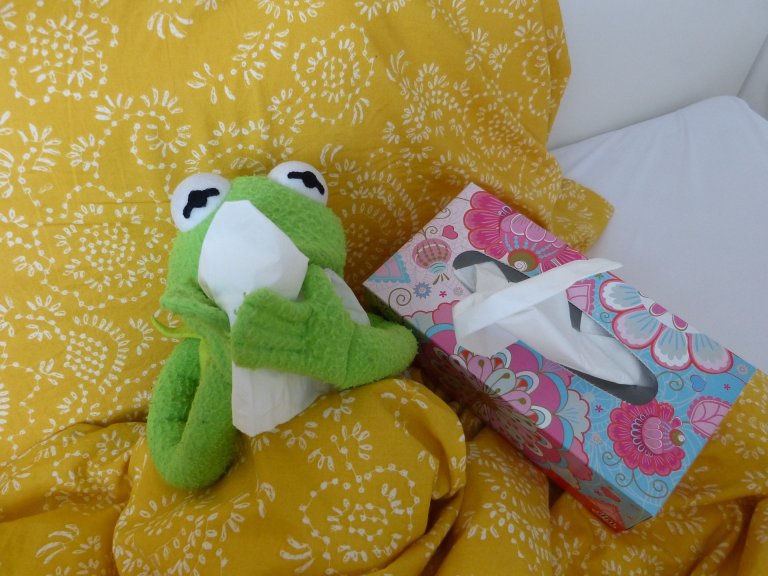 Bild_Frosch_krank